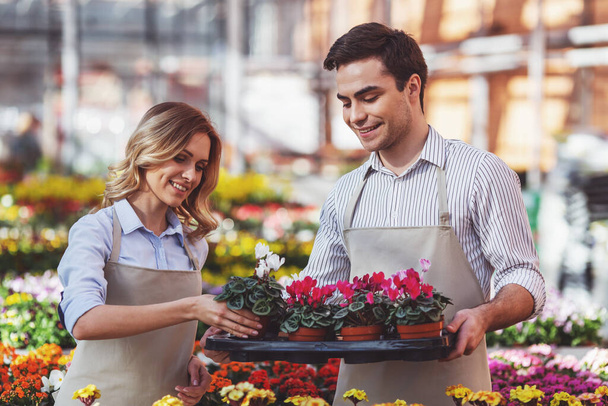 Красивая молодая женщина и мужчина в фартуках держат растения и улыбаются стоя в оранжерее
 - Фото, изображение