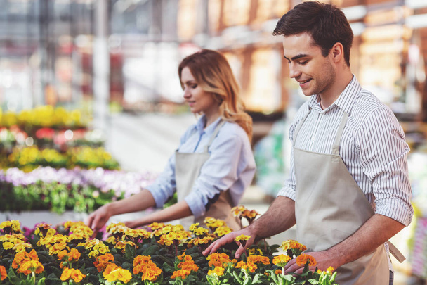 Красивая молодая женщина и мужчина в фартуках улыбаются, заботясь о растениях в оранжерее
 - Фото, изображение