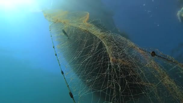 4K.Gefangen Fische im Netz hängen vom Boot unter dem Meeres.Unterwasserfischen von tiefblauem Ozean.Fische gefangen in Spiralleinen Fischernetze.Tüll streckt sich in die Unendlich.Fallenfallen Hinterhalt Köder locken umgarnen Hinterhalt Tier traditionelles Schiff - Filmmaterial, Video
