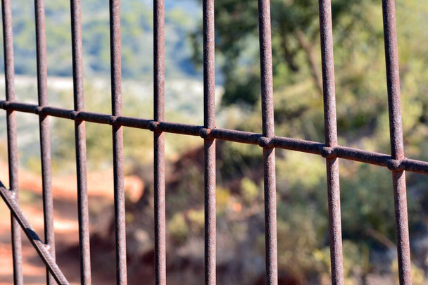 Barre di ferro formando una recinzione - Foto, immagini