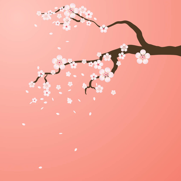 Isolated branch with flowers of sakura. Cartoon pink and white blossoms of Japanese cherry tree. - Vektori, kuva