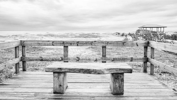 Деревянная скамейка с видом на песчаные дюны Куршской лагуны и Куршского залива - Фото, изображение