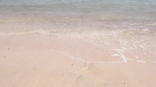 Mısır plajı ve kızıl deniz. Yaz günündeki kumsal manzarası. - Video, Çekim