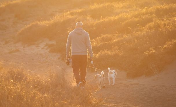 Siluetti mies kävelee koirien kanssa rannalla auringonlaskun aikaan - Valokuva, kuva