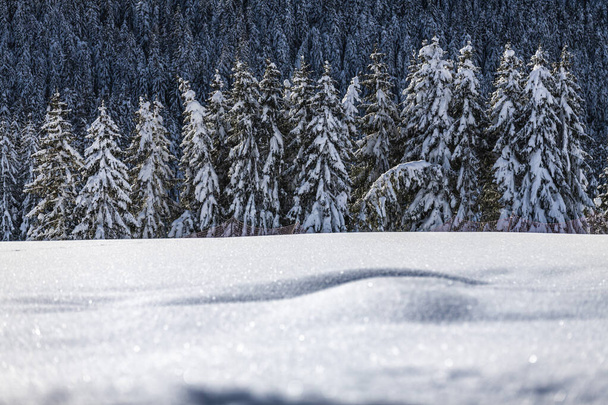 Pesariis escena del invierno, Italia - Foto, Imagen