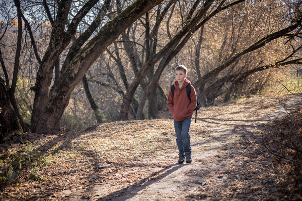 Adolescent avec sac à dos marchant sur le chemin dans le parc d'automne. Mode de vie actif, retour à l'école. Étudiant garçon dans la forêt d'automne. - Photo, image