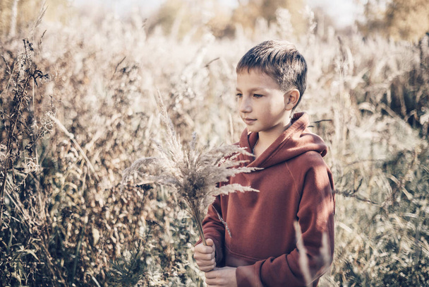 Teenager boy holding bouquet of dry pampas grass in his hand in field of reed. Slow life in countryside Joyful child walking in nature outdoors. Concept of sustainable lifestyle, inspirational moments - Photo, Image