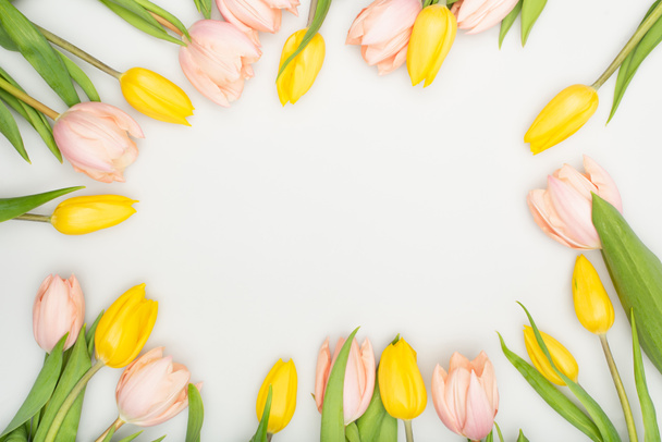 widok z góry kolorowe tulipany izolowane na białym  - Zdjęcie, obraz
