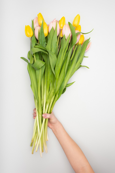 cropped view of woman holding tulips on white - Zdjęcie, obraz