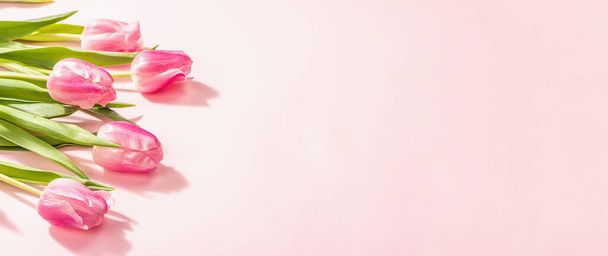 Friss virág összetétele, egy csokor rózsaszín tulipán, elszigetelt rózsa háttér. Nemzetközi Nőnap, Valentin-nap, vagy Anyák napja, Esküvői köszöntés koncepció, banner formátum - Fotó, kép