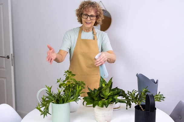 Senior Woman is spraying for House Plant - Foto, immagini