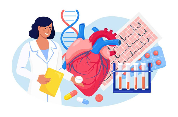 Cardiology. Cardiologist examine human heart. Doctor treat heart disease, check patient heartbeat and pulse, cardiogram, diagnosis stroke. Medical examination cardiovascular pressure - Vector, Image