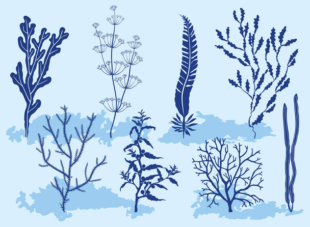 Unter Wasser. Algen auf dem Meeresgrund. Silhouette, abstrakte Illustration. - Vektor, Bild