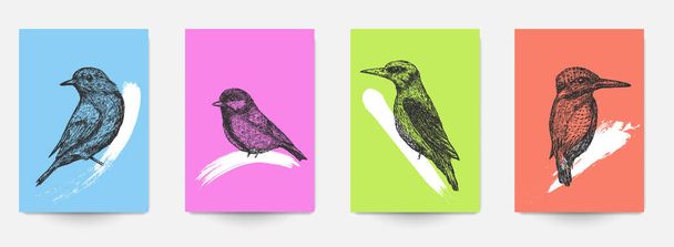 Set background template of card, cover, poster, banner, flyer with hand drawn birds and color grunge shapes. Collection minimalistic modern art composition. Creative vector illustration. - Vektor, Bild