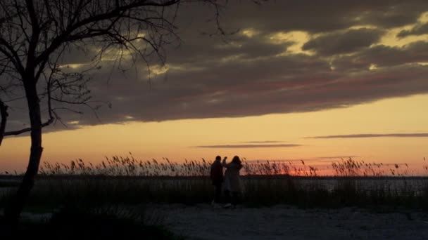 Couple marche coucher de soleil plage passer du temps ensemble sur la nature littoral paysage - Séquence, vidéo