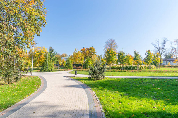 Городской парк Кемзи Ласек в Замброве, Польша. - Фото, изображение