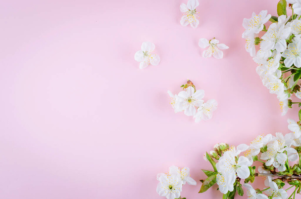 branche fleurs de printemps cerise sur fond rose pastel avec place pour le texte. Vacances concept de printemps. Pose plate, vue du dessus, espace de copie - Photo, image