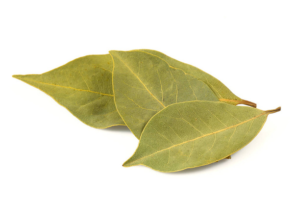 laurel leaf isolated on white background - Фото, зображення