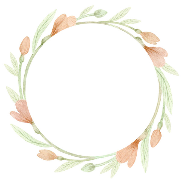 Watercolor frame with pink crocuses isolated on white background. Gentle spring collection of hand drawn illustrations. Can be used in wrapping paper, textiles, greeting cards. - Fotografie, Obrázek