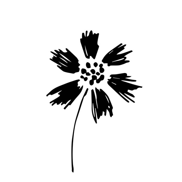 Basit bir el çizimi vektör siyah ve beyaz çizim. Tarla çiçeği, çayır bitkileri. Parmak izleri, prodüksiyon dekoru, desen oluşturma. Mürekkep çizimi. - Vektör, Görsel