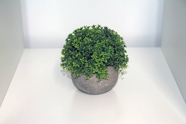 Un buisson artificiel isolé vert avec un vase gris sur une étagère blanche - Photo, image