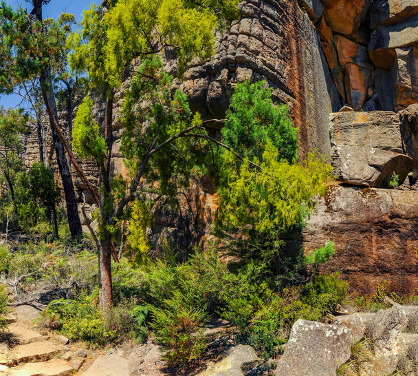 Grampians kansallispuisto Australiassa, Victoria.  - Valokuva, kuva