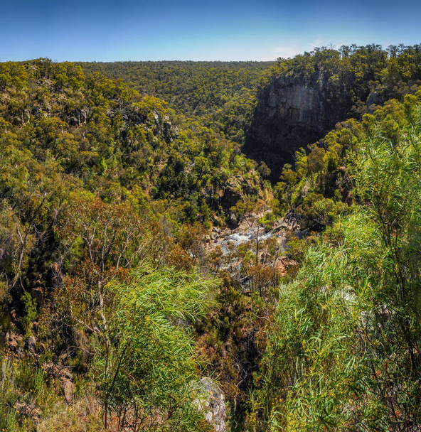 Національний парк Ґрампіан в Австралії (Вікторія)..  - Фото, зображення