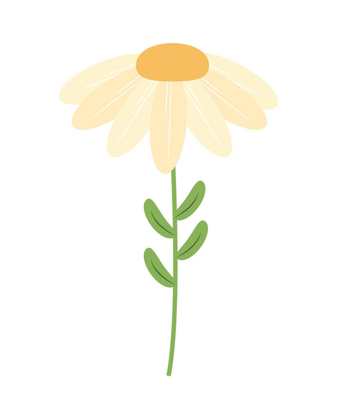 conception de fleur blanche - Vecteur, image