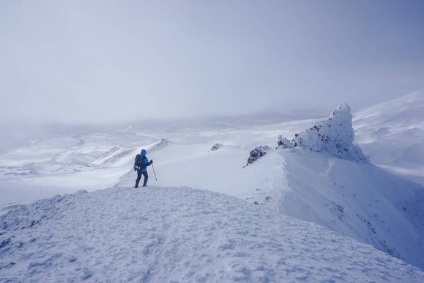 Hiker at the Avachinsky Pass and volcanoes in Kamchatka in winter - Zdjęcie, obraz