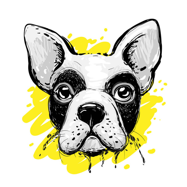 Divertido personaje bulldog francés. Perfecto para camiseta, póster, tarjeta, diseño de impresión, decoración de vivero. Ilustración vectorial EPS10 - Vector, imagen