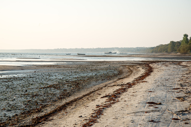 strand skyline met zand en vooruitzichten - Foto, afbeelding