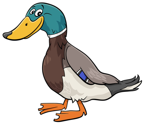Cartoon illustration of funny wild duck bird animal character - Вектор, зображення