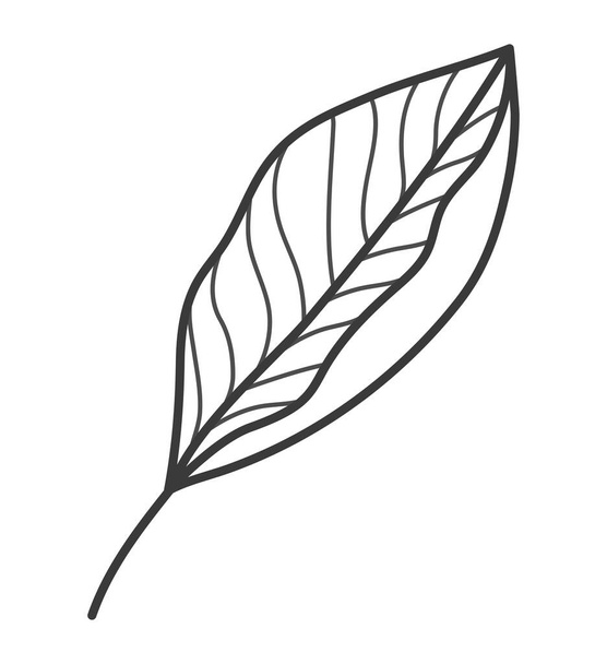 cute leaf design - Vektör, Görsel