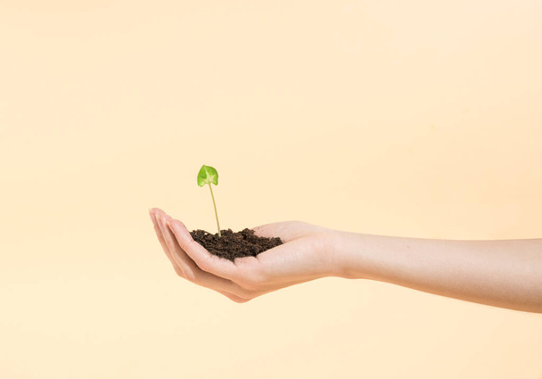 Рука держит крошечное зеленое растение, растущее из куска почвы на желтом фоне - Фото, изображение