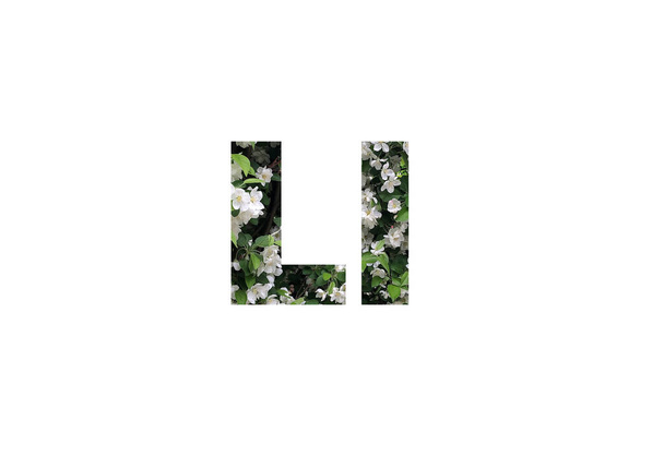 háttér fehér virágok zöld levelek. Átlőtték az L betű kivágott sziluettjén. - Fotó, kép