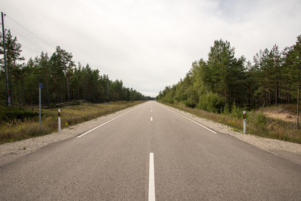 conducir carretera vacía en verano
 - Foto, imagen