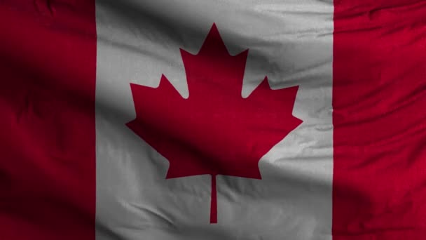 Kanada Flaga pętla tle 4K - Materiał filmowy, wideo