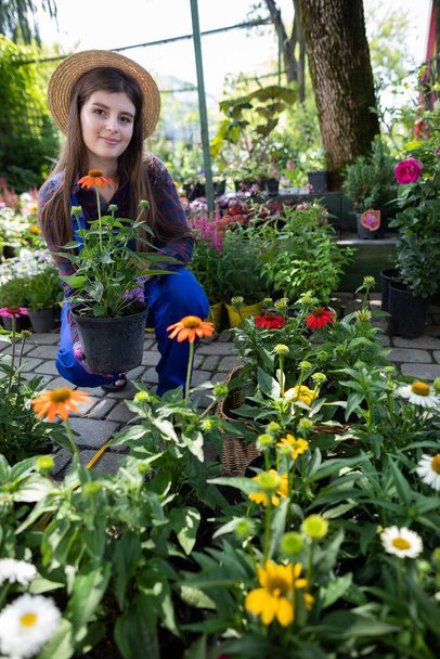 A saleswoman holds a pot of flowering asters in her hand. Garden Shop. - Foto, imagen
