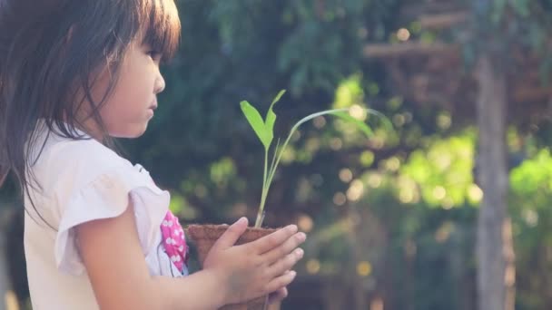 Roztomilá holčička dává své sestře malou rostlinku v květináči se zeleným pozadím konceptu jarní ekologie. Světový den prostředí. - Záběry, video