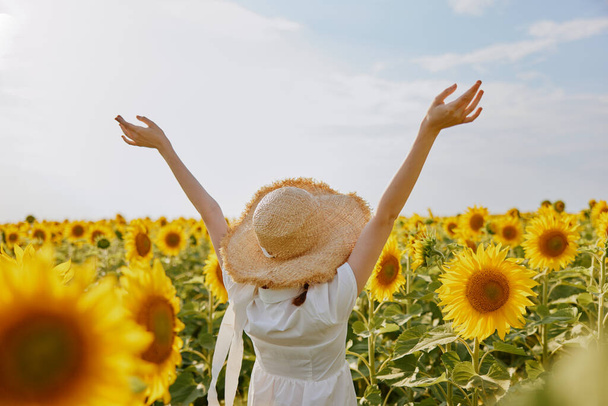 kaunis suloinen tyttö pellolla auringonkukkia kädet ylhäällä. Laadukas kuva - Valokuva, kuva