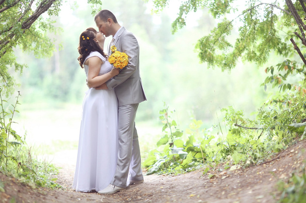 Bride and groom kissing in park - Photo, image