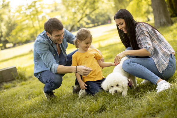 Šťastná mladá rodina s roztomilým bišonským psem v parku - Fotografie, Obrázek