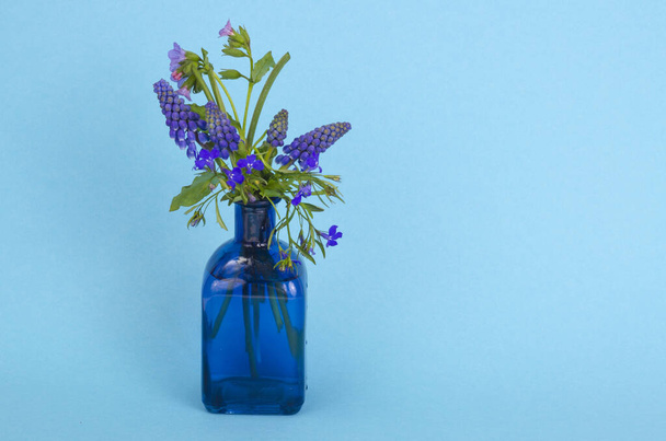 Blauwe wilde bloemen in vaas op een heldere achtergrond. Foto van de studio - Foto, afbeelding