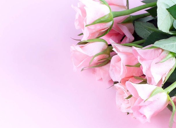 beautiful bouquet of pink rose flowers on the pink background, copy space - Fotó, kép
