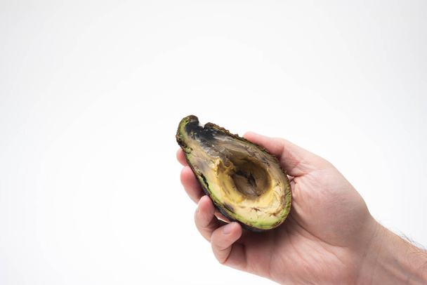 Male hand holding a spoiled rotten overripe avocado fruit cut in half. Close up studio shot, isolated on white background. - 写真・画像