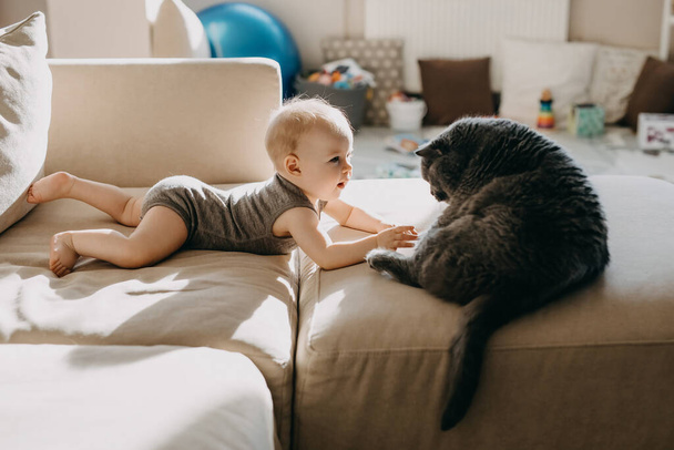 Pequeño bebé jugando con un gato grande, británico taquigrafía crianza, sentado en un sofá. - Foto, imagen