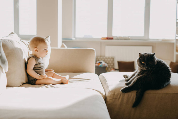 Младенец сидит на диване с кошкой на расстоянии, наблюдая за ней. - Фото, изображение