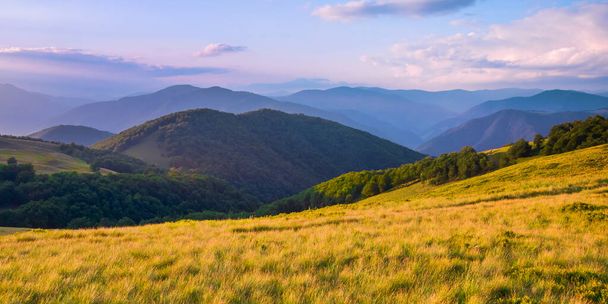Picturesque panoramic view of the mountain range. Summer mountain landscape. Carpathians, Ukraine - Photo, Image