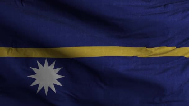 Nauru Flag Loop Hintergrund 4K - Filmmaterial, Video