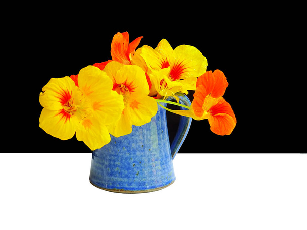 黄色、オレンジ、白、青と黒の色で、黒と白の背景を持つ青の花瓶にナストルティウム(Tropaeolum majus)のオレンジと黄色の花の束 - 写真・画像